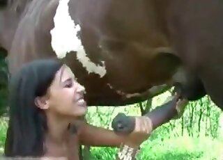 Naughty brunette strokes horse's cock and gets mouthfull of cum
