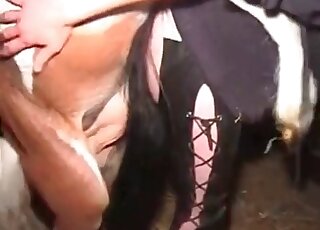 Horse is fucking a nasty bitch from behind inside the stables