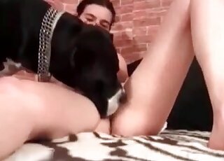 Two naughty bitches are about to start making out with a dog