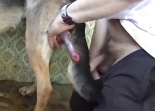 Dominant dude enjoys flip flopping action with his big-dicked dog
