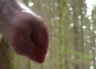 Woods fuck scene showing a guy that wants to fuck a dog outdoor