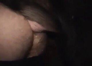 Hairy big booty bitch lets this thin-dicked beast fuck him brutally