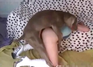 Dog fucks girl on all fours while she's wearing her sexy boots