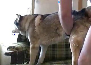 Guy with a shapely ass happily fucking a dog from behind in a hot way