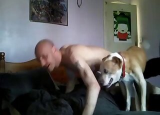 Bald-headed zoophile motherfucker gets fucked on all fours by a dog