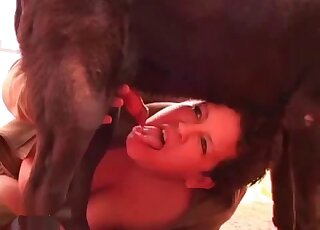Inked MILF with a colossal ass is getting fucked y a black dog here
