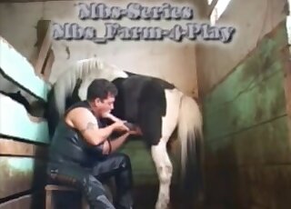 Leather-wearing bestiality momma sucks on a pony's penis here