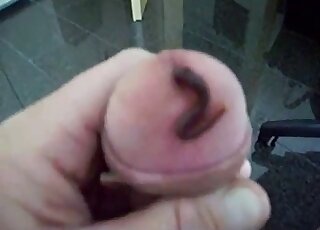 Dude lets a worm slide inside his urethra so it can live down there