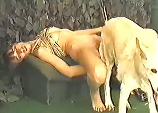 Skinny lady with a shaved pussy fucked by a dog in a passionate way