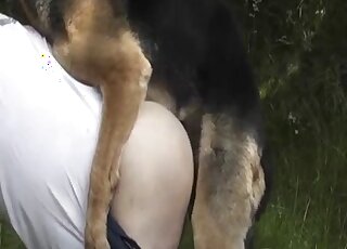 White t-shirt zoophile gets to stroke dog cock before enjoying anal
