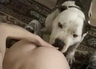 Awesome blonde with small tits gets licked by a sexy dog here