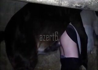 Male zoophile with pulled down pants fucks a horse in the barn