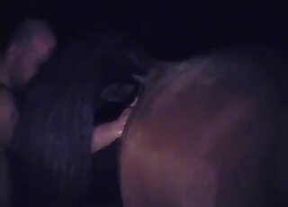Bald-headed man licking a mare's pussy in a hot porn video here