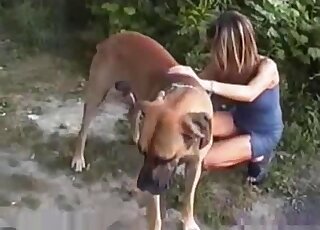 Brown dog easily seduces a tight-bodied babe in a skintight dress