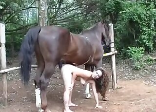 Long hair babe bends over to let horse fuck her asshole from behind