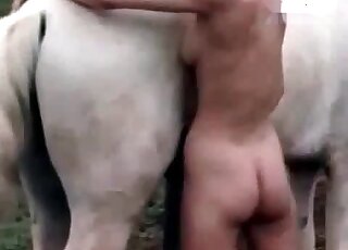 Skinny zoophile whore passionately strokes horse's dick outdoors