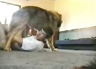 Amateur gay guy kneels for sex with giant dog before giving a blowjob