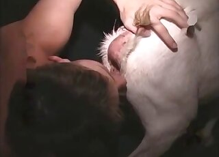 Close-up on animal's privates while young guy does anal fingering