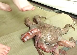 Two amateur babes are pissing all over the live octopus