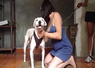 Calm hound gets cock stroking from masked brunette