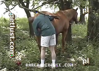 Young stallion is filmed while licking and fucking a lady horse