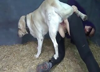 Big ass MILF loves getting anal creampie from Labrador