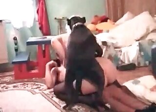 Zoophile couple wants black dog to join them and start fucking