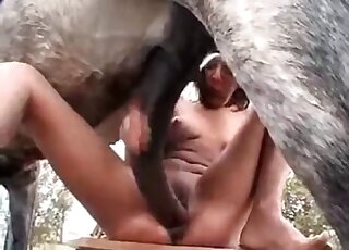 Close-up look at aroused dog fucking tight pussy of a zoophile bitch