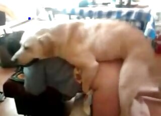 Bitch bends down, so that her doggie fucks her pussy from behind