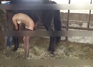 Russian teen in stockings gets rammed by big black horse