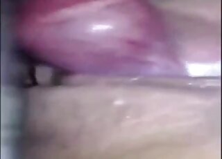 Low-quality amateur zoo sex porn of cute dog giving oral favor