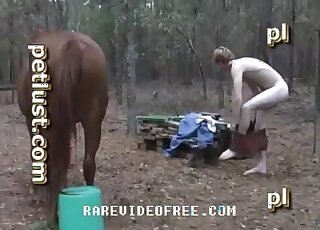 Aroused dude is pounding and licking gaping horse pussy in a forest