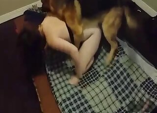 German Shepherd makes mistress happy by ramming her aching cunny