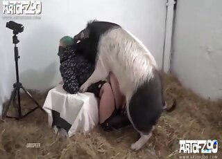 Punkish cougar gets dominated by chubby pig in a barn