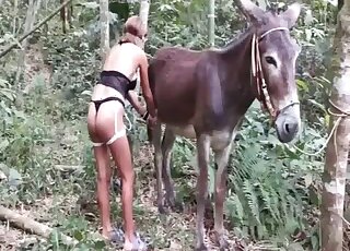 Donkey gets his long cock stroked and licked by masked vixen