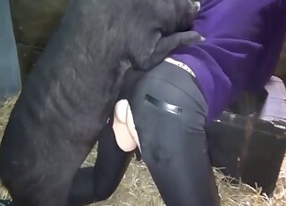 Amateur lady in crotchless panties gets fucked by chubby pig