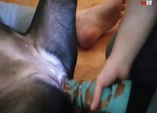 Female dog is spread out while getting pussy toyed by giant dildo