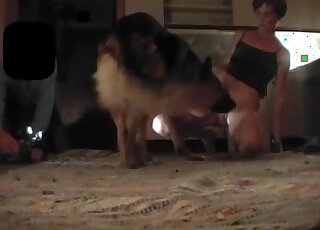 Sex tape-style movie showing a brown dog fucking her juicy pussy