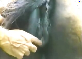 Animal pussy gets fingered before he decides to enter it full force