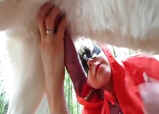Attractive Red Riding Hood cosplayer fucking a sexy dog while outdoors