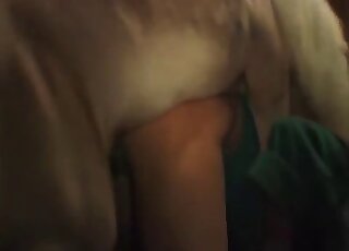 Nighttime humping session with a big white beast and a MILF slut