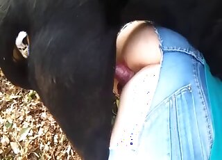 Trimmed pussy gal getting fucked happily by a furry beast right here