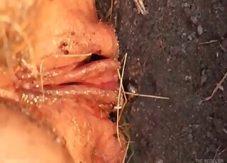 Brunette is scared to let all these bugs fuck her by crawling inside