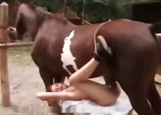 Horny zoophile is happy to receive a massive dick of horse in her twat