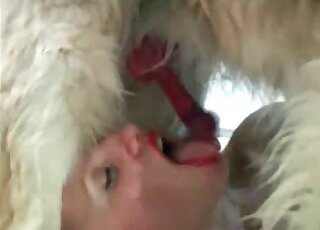 Fluffy dog's hard shaft gets passionately sucked by an agile zoophile babe