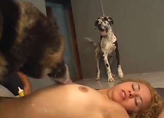 Blonde chick with a wet hole goes on all fours to let the dog lick her
