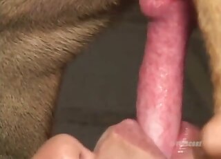 Brown animal is entering a brunette's hot mouth in a kinky zoo vid