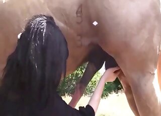 Short yet eventful scene with a brunette that sucks horse cocks