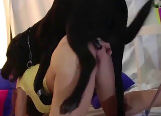 Sexy lady with a firm ass is happily screwed by a kinky creature