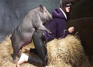 Pig grants farm girl perfect anal stimulation in the hey